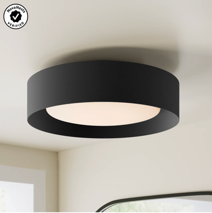 15.7 in Flush Mount Ceiling Light